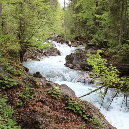 Im Mai im Allgäu (4)